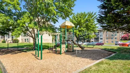 Cinnamon Run Peppertree Farm