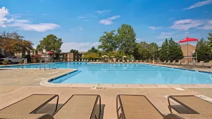 Cinnamon Run Peppertree Farm