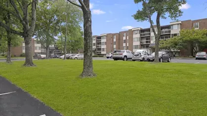 Cinnamon Run Peppertree Farm