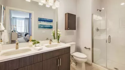 A luxurious bathroom featuring a double vanity with modern lighting, a glass-enclosed shower, and elegant decor.