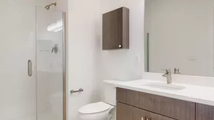 A sleek and contemporary bathroom with a spacious walk-in shower, stylish vanity, and bright lighting.