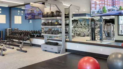 A state-of-the-art fitness center featuring free weights, medicine balls, and a mirrored wall for an enhanced workout experience.