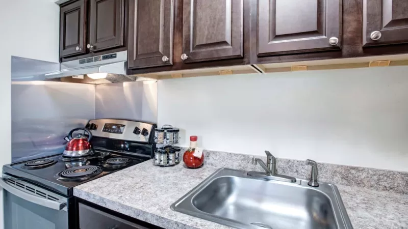 Modern kitchen with dark wood cabinetry, stainless steel appliances, and a spacious sink in Silver Lake Manor Apartments.