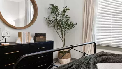 A sophisticated bedroom corner with a sleek dresser, round mirror, and a potted plant adding a touch of greenery.