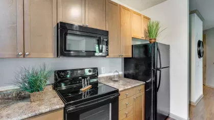 A modern kitchen featuring wood cabinets, black appliances, and decorative greenery. The functional layout provides ample counter space for meal prep.