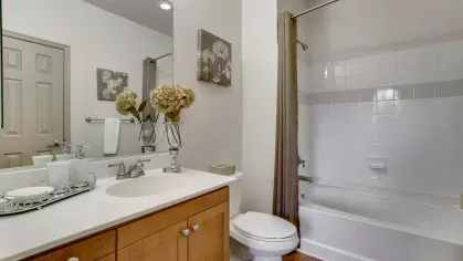 A sleek bathroom with a full-size bathtub, a contemporary vanity, and decorative floral accents for a cozy, spa-like ambiance.