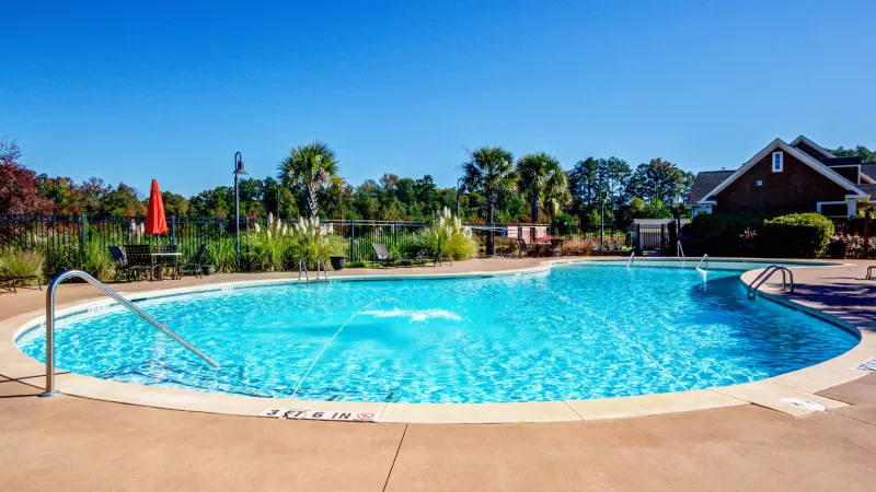 Curved swimming pool under a clear blue sky, bordered by sun loungers and landscaped greenery at Lauren Ridge Apartment Homes.