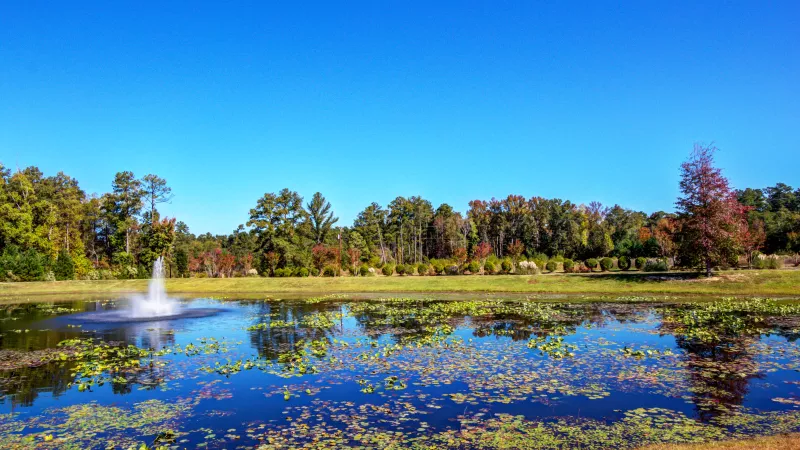 Peaceful pond surrounded by trees and vegetation at Lauren Ridge, featuring a decorative water fountain and clear blue sky.