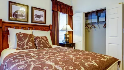 Cozy guest bedroom with brown and cream bedding, framed animal artwork, and an open closet with built-in storage.