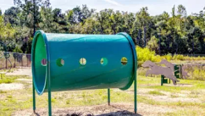 Green agility tunnel in fenced dog park area, surrounded by grass and mature trees.
