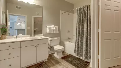 Bathroom featuring a soaking tub, large vanity, and modern fixtures at The Saulet Apartments.
