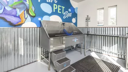 Parc At Wesley Chapel