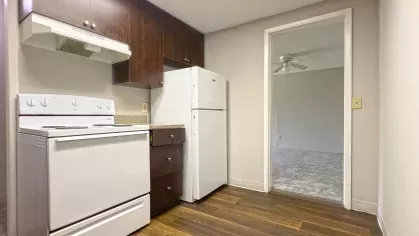 Bright kitchen with white stove and refrigerator, dark wood cabinets, and wood-grain vinyl flooring, connected to a carpeted living space.