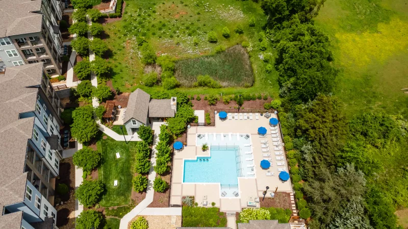 Aerial view of resort-style swimming pool with lounge chairs and umbrellas at Avery at Turkey Creek