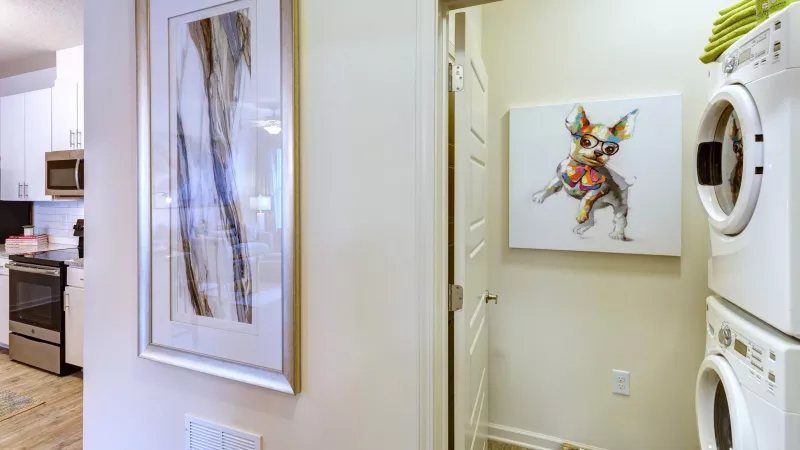 In-home laundry with full-size washer and dryer inside apartment at Avery Turkey Creek.