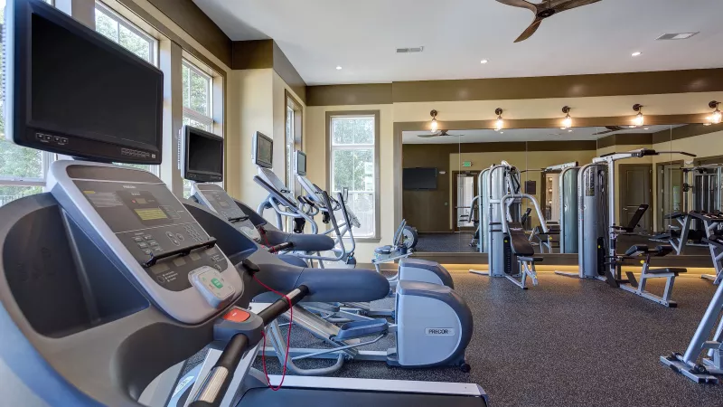 Row of treadmills and ellipticals in the bright fitness center at Tapestry Turkey Creek apartments.