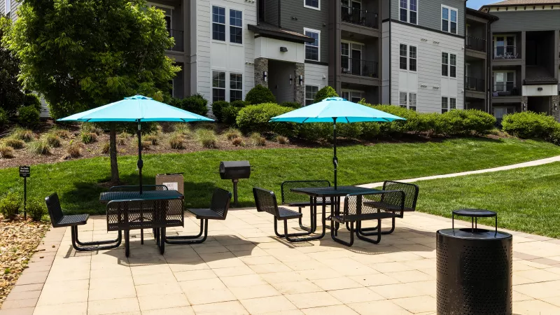 Picnic area with tables, umbrellas, and grill at Avery at Turkey Creek Apartments.