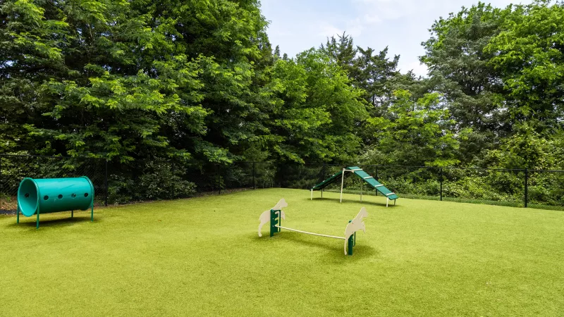 Dog park at Avery at Turkey Creek with agility tunnel, ramp, and fenced play area.