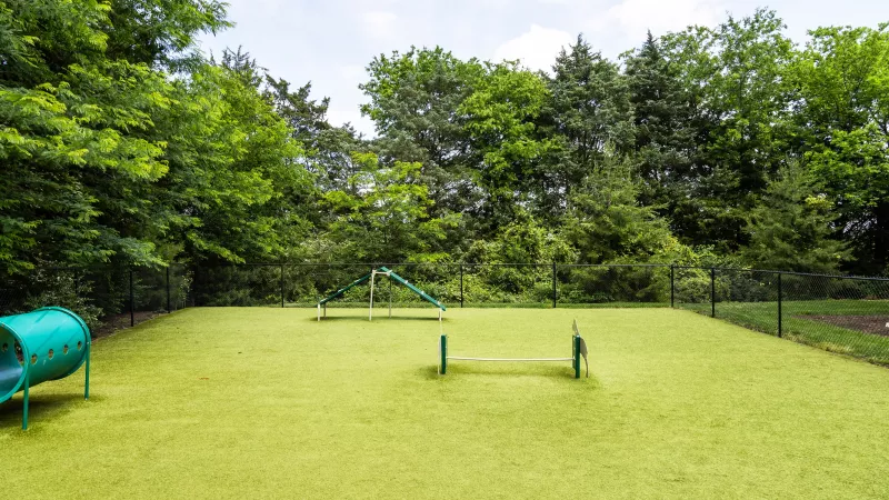 Large fenced dog park with agility equipment and green turf at Avery at Turkey Creek Apartments.