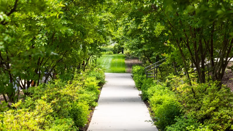 Walking trail surrounded by lush greenery and trees at Avery at Turkey Creek Apartments.