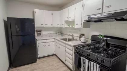 Renovated kitchen in Montgomery Plaza Apartments with modern cabinetry, granite countertops, and stainless steel appliances.