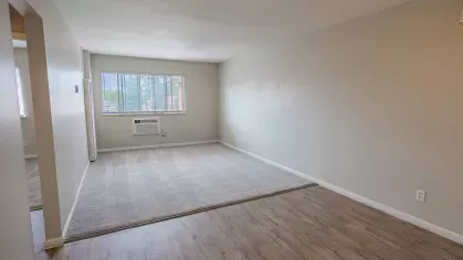 Open-concept living room at Montgomery Plaza Apartments with neutral walls, large windows, and wood-style flooring