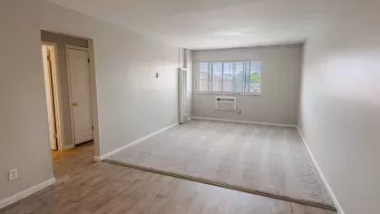 Open-concept living room at Montgomery Plaza Apartments with neutral walls, large windows, and wood-style flooring