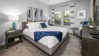 Argyle Lake at Oakleaf Town Center