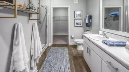 Argyle Lake at Oakleaf Town Center