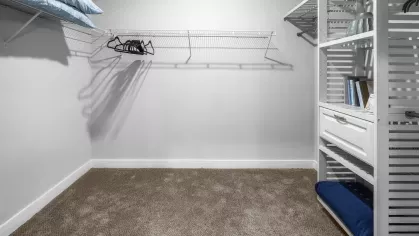 Argyle Lake at Oakleaf Town Center