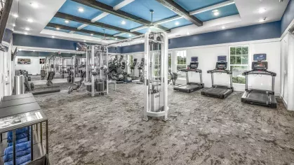 Argyle Lake at Oakleaf Town Center