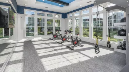 Argyle Lake at Oakleaf Town Center