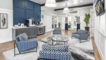 Argyle Lake at Oakleaf Town Center