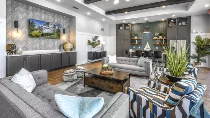 Argyle Lake at Oakleaf Town Center