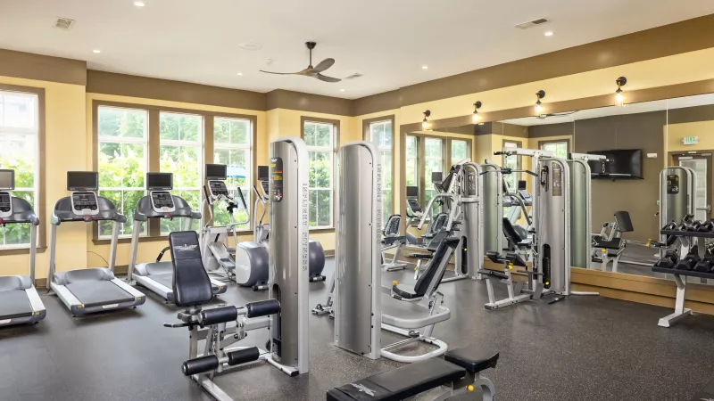 Bright community fitness center featuring treadmills, weight machines, free weights, and large mirrors, with natural light streaming through tall windows.