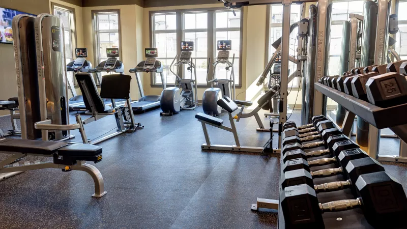 Fully equipped apartment fitness center with treadmills, weight machines, and free weights.