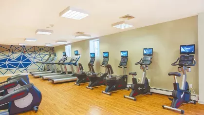Modern apartment fitness center with wood-style flooring, treadmills, stationary bikes, and ellipticals, each equipped with personal screens. A geometric blue accent wall adds a stylish touch to the bright workout space with overhead lighting and natural light from windows.