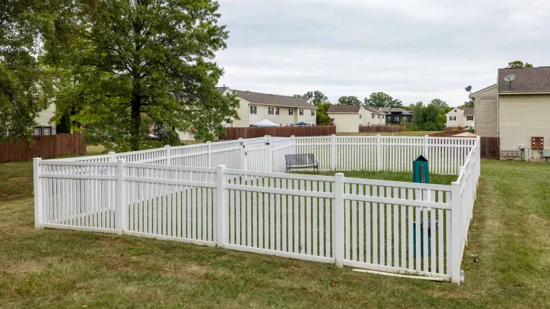 Large, enclosed dog park.
