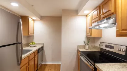 Modern galley-style kitchen with stainless steel appliances, light wood cabinets, granite countertops, and recessed lighting, featuring a bowl of green apples and a small plant as accents.