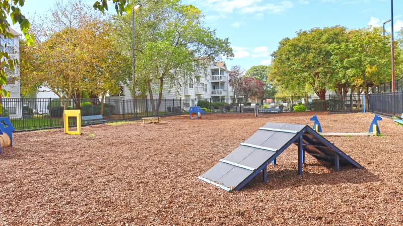 Reflections Virginia Beach
