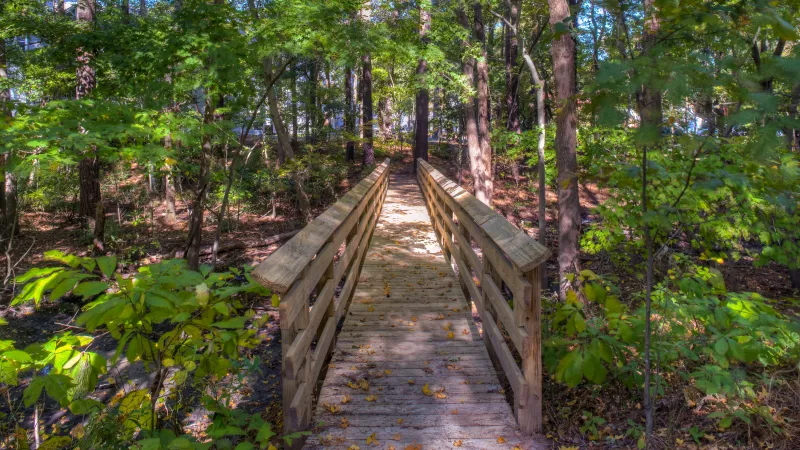 Reflections Virginia Beach