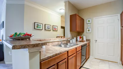 Spacious apartment kitchen with wood cabinetry, stainless steel sink, and granite-style countertops near the dining area.