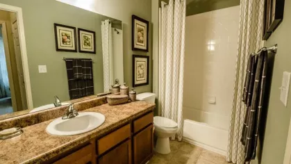 Spacious bathroom with double sink vanity, framed artwork, and shower with patterned curtain.