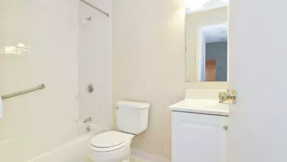 Bathroom with tiled shower-tub combo, wall-mounted safety bar, and single-sink vanity with mirror and lighting.
