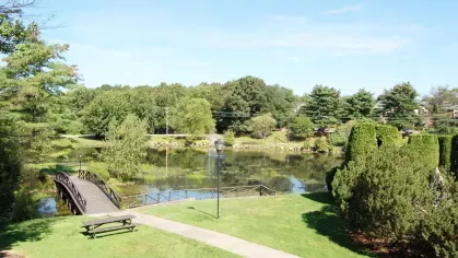 Peaceful pond with wooden footbridge, picnic table, and tree-lined surroundings reflecting on the water.