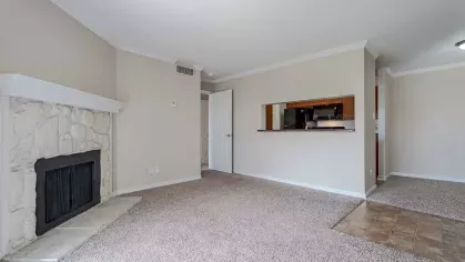 Large, open living room with fireplace and view of the kitchen.