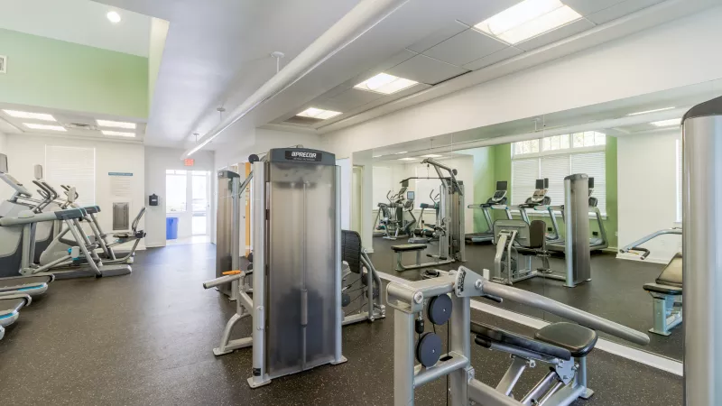 Bright, empty gym with various cardio and weight machines, green accent wall, and a large mirror reflecting equipment.