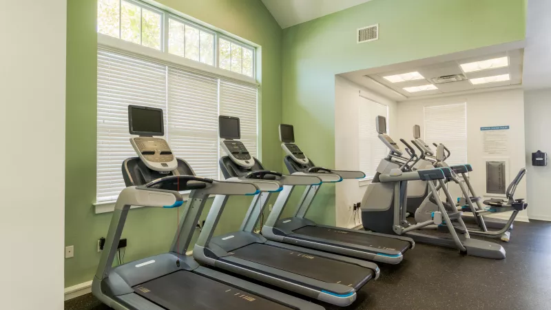 A row of treadmills and exercise machines in a bright gym with light green walls and windows.