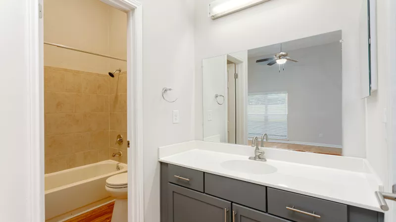 Bathroom with a grey vanity, white counter, sink, and mirror. A tub-shower is visible through a doorway to the left.