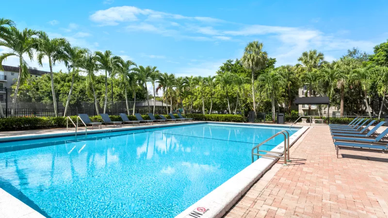 Bright blue swimming pool lined with palm trees and lounge chairs under a clear sky.